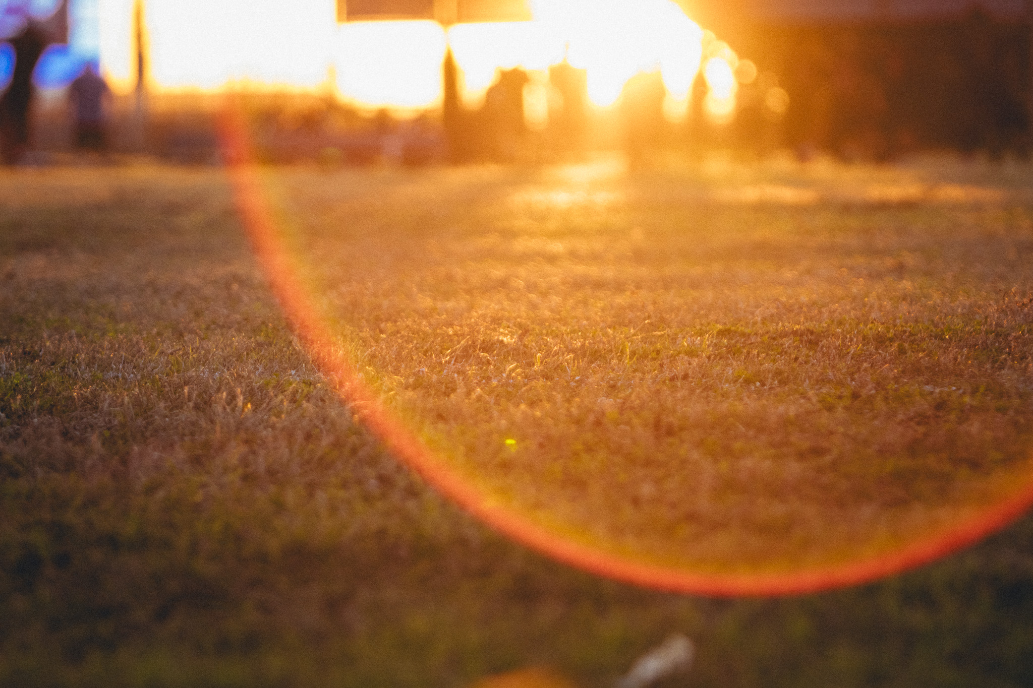 It is a practice to notice the subtle, tiny beauty in the every day moments; they are everthere.