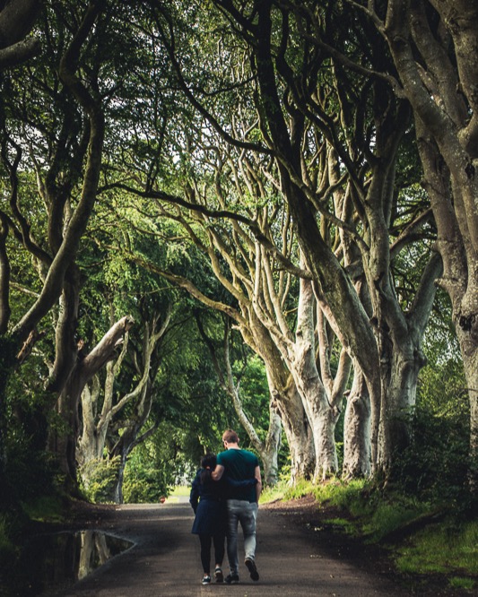 They didn't even know I captured this gentle moment. When our dear friends took us to the Dark Hedges, I noticed. The beauty is sometimes in the quiet and not in the grand.